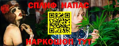 ГАЛЛЮЦИНОГЕННЫЕ ГРИБЫ Ликино-Дулёво