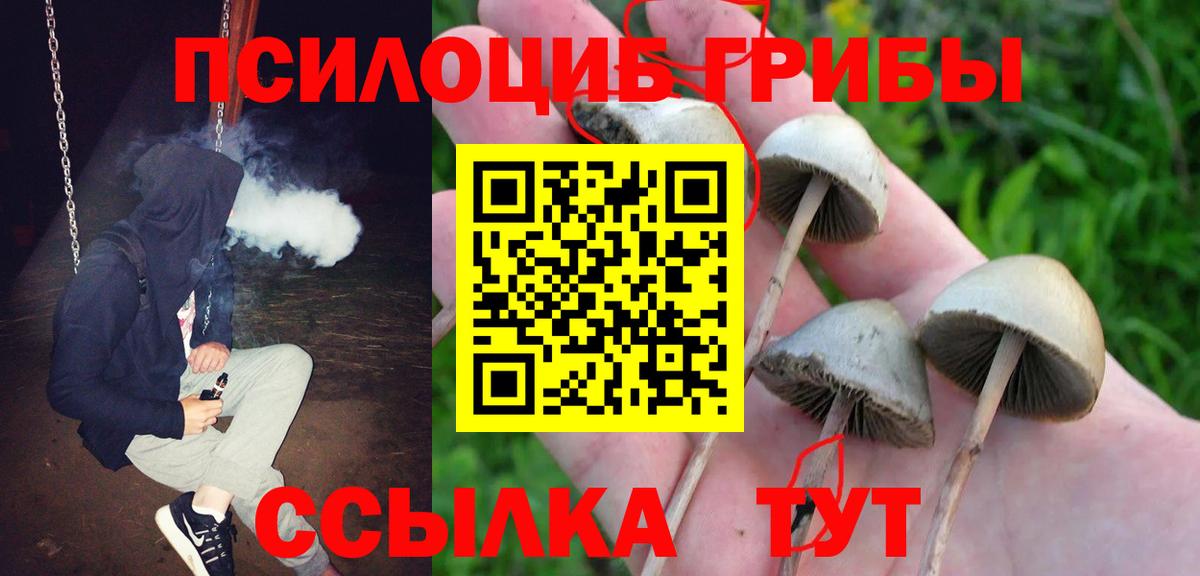 Галлюциногенные грибы Magic Shrooms  как найти наркотики  Добрянка  Вход с VPN 